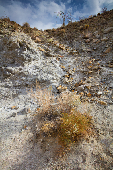 Arroyo Agua Caliente -21