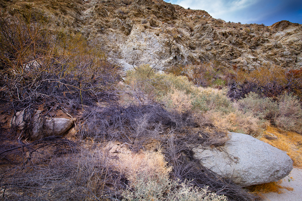 Arroyo Agua Caliente -29