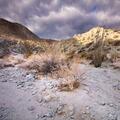 Arroyo Agua Caliente-182