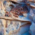 Truckhaven Rocks, Anza Borrego -187