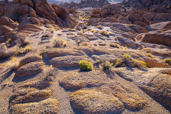Alabama Hills 2021 -16
