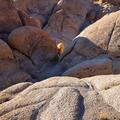 Alabama Hills 2021 -17