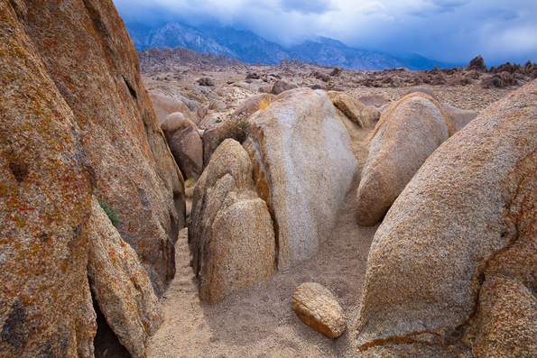 Alabama Hills 2021 -56
