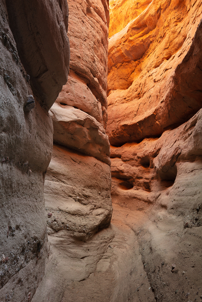Anza Borrego 2021 -38
