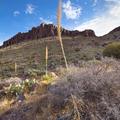 Rock Hound State Park, New Mexico -30