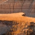 Badlands National Park-50