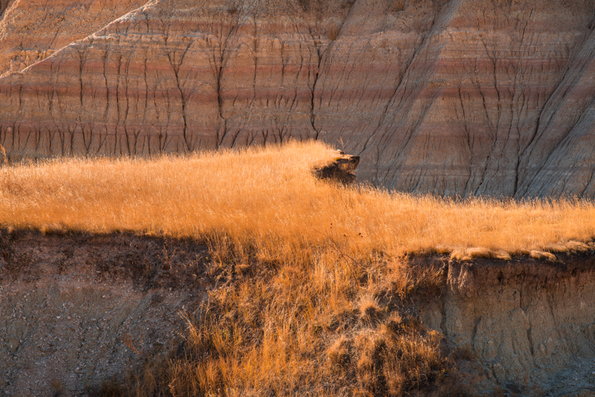 Badlands National Park-50