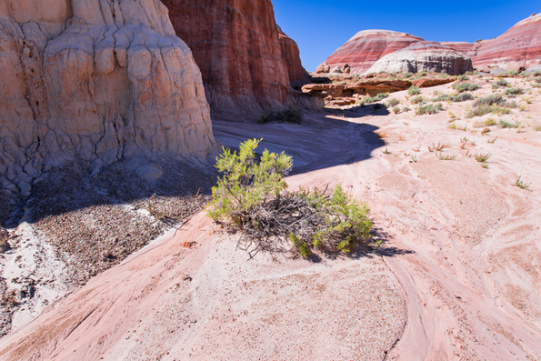 Capitol Reef-25