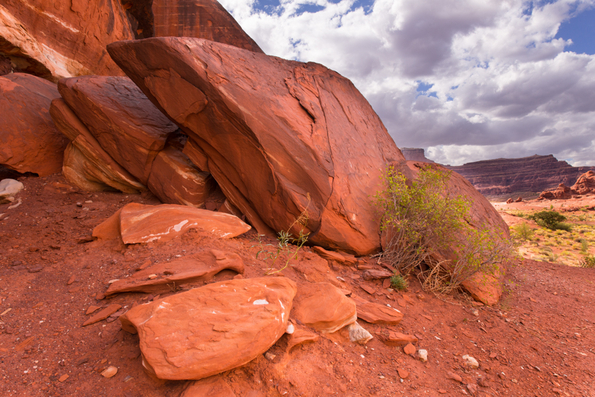 Moab, Kane Creek-7