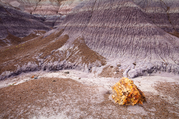 Petrified National Forest, Arizona -14