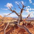 Arches National Park,  -20