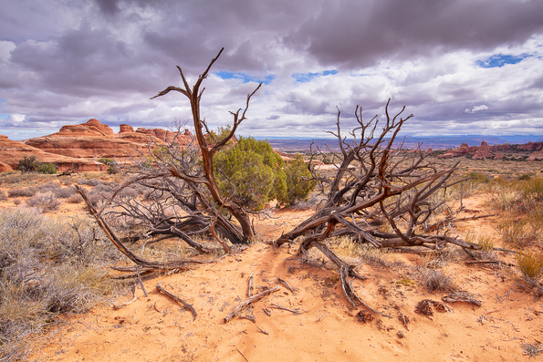 Arches National Park -187