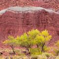 Capitol Reef National Park -82