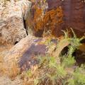Dinosaur National Monument -21