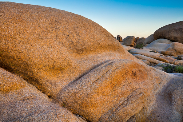 Joshua Tree National Park -29