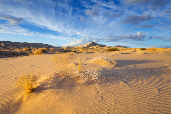 Kelso Dunes, Mojave National Preserve  -12