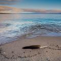 Pancake Bay, Lake Superior -7