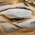 Pescadero shore erosion -43
