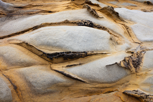 Pescadero shore erosion -43