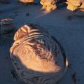 Bisti Badlands-18
