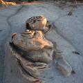 Bisti Badlands-19