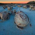 Bisti Badlands-24