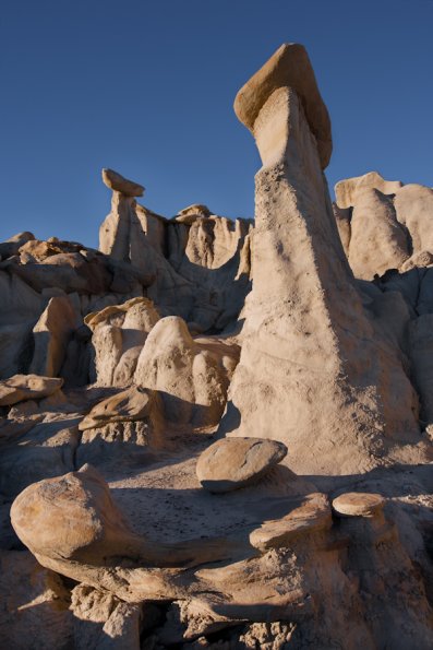 Bisti Badlands-31