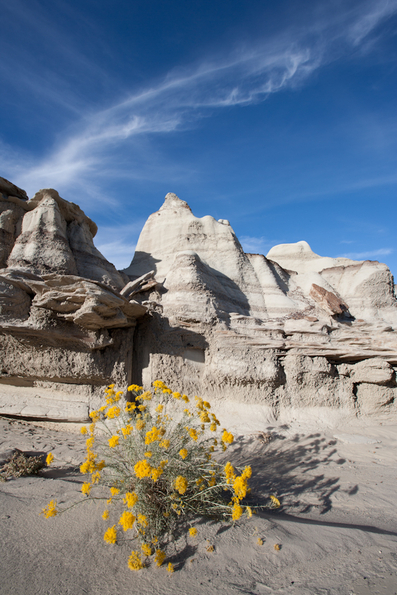 Bisti Badlands-38