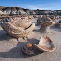 Bisti Badlands-39