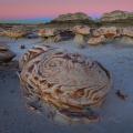 Bisti Badlands-46