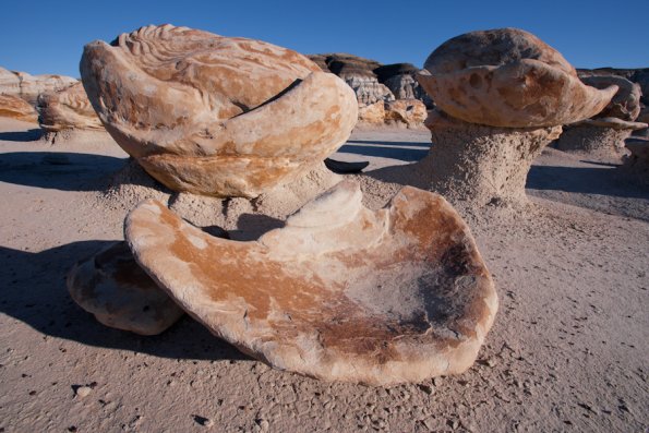Bisti Badlands-8