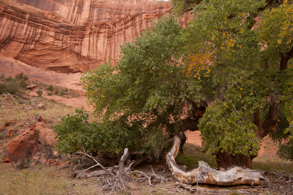 Canyon de Chelley-16