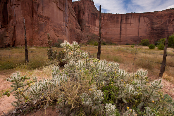 Canyon de Chelley-5