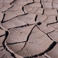 Capitol Reef-10