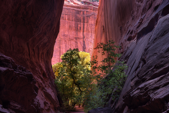 Capitol Reef-24