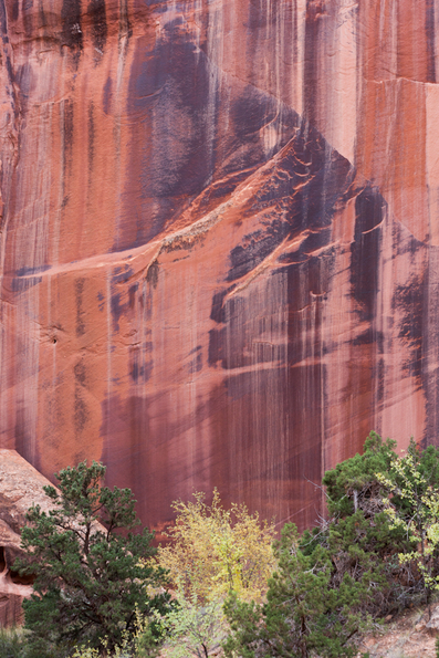 Capitol Reef-32