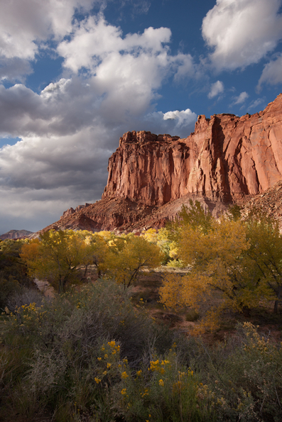 Capitol Reef-78