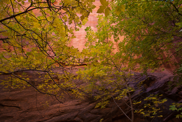 Capitol Reef-83