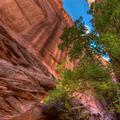 Capitol Reef-85