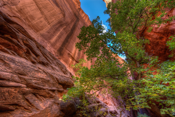 Capitol Reef-85