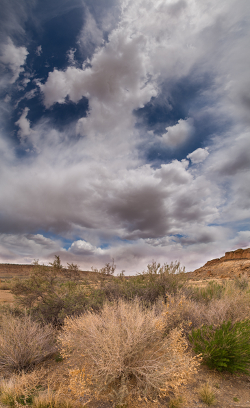 Chaco Canyon-vegetation and sky-1