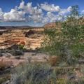 Natural Bridges National Monument-4