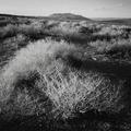  Eastern Owens Valley, Last Light