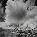 Yellowstone National Park, Cloud Swell