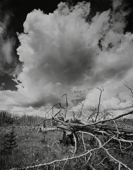 Yellowstone National Park, Cloud Swell