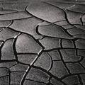 Dried Mud, Little Wild Horse Canyon