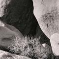 Joshua Tree National Park