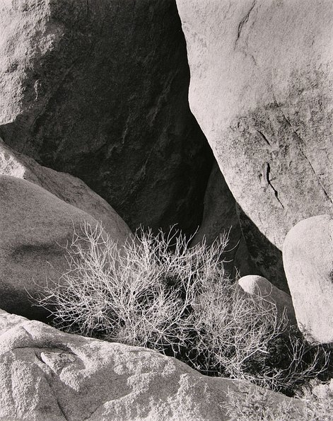 Joshua Tree National Park