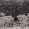 Capitol Reef National Park