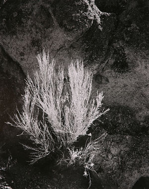 hh013x300
